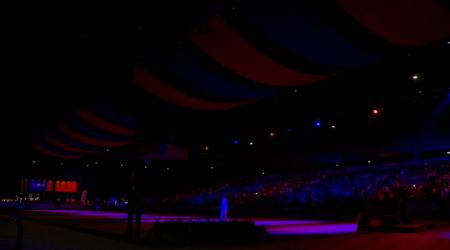 KSS Veiling - dressuurhengsten