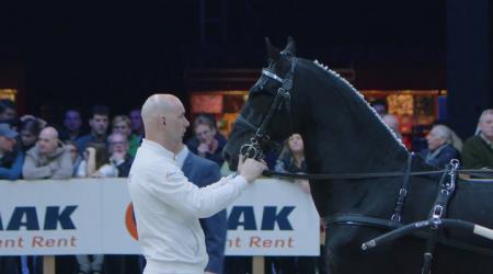 Dag 4 - deel 2: Zaterdag 1 februari 2025