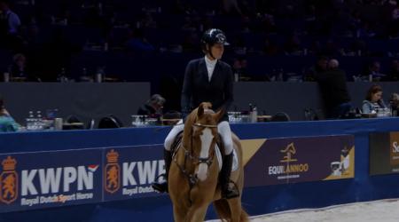 Presentatie Goedgekeurde springhengsten 2024