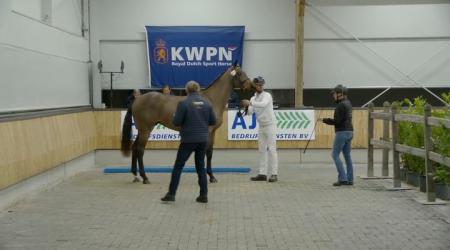 Nakeuring - Straatje (springen)