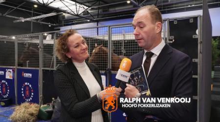 Interview KWPN Select Sale - Springhengsten