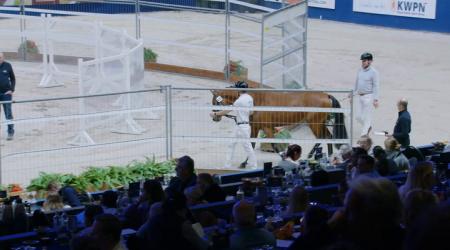 435 SAINT MCLAREN SG